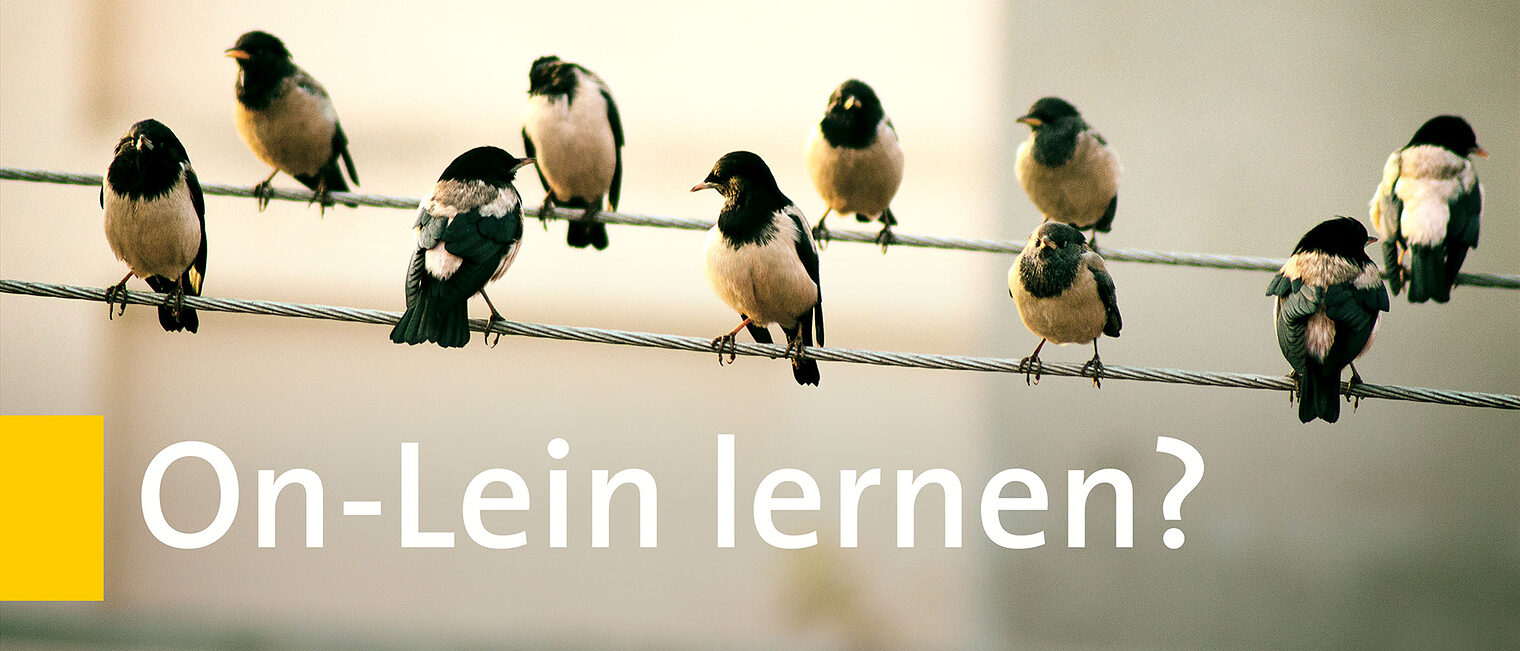 On-Lein lernen